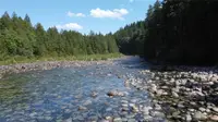 View 28