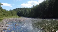 View 24