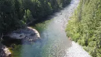 View 30