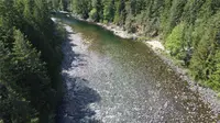 View 33