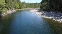 View 55