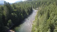 View 31