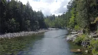 View 25