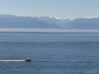 View 53