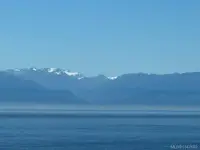View 51