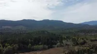 View 11