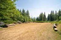 View 87