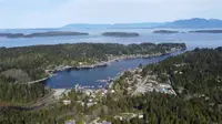 View 42