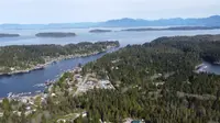 View 43