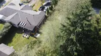 View 39