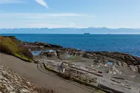 View 31