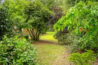 View 71