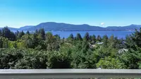 View 4