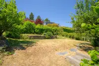 View 50