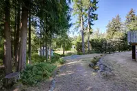 View 50
