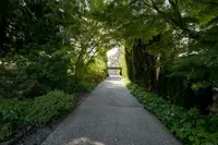 View 57