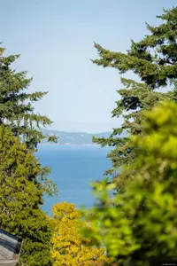 View 12