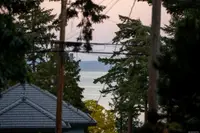 View 61