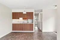 View 15