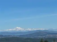 View 55
