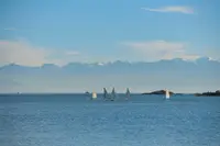 View 76