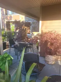 View 22