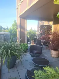 View 21