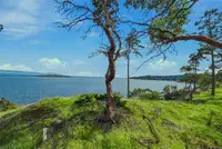 View 74