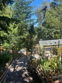 View 46