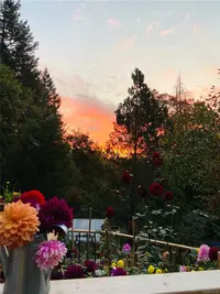 View 25