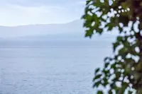 View 41