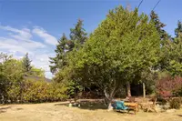 View 29