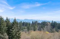 View 40