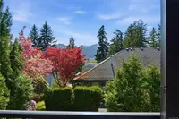 View 82