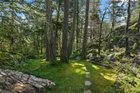 View 35