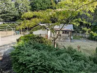 View 15