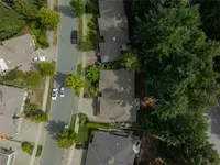 View 55