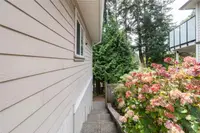 View 37