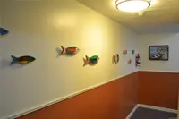 View 24