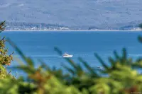 View 44