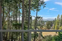 View 31