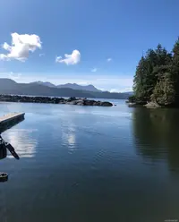 View 15