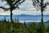View 36