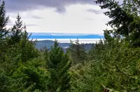 View 33