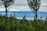 View 35