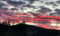 View 26