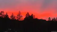 View 28