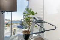View 38