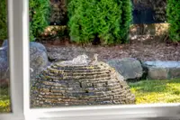 View 29