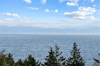 View 12